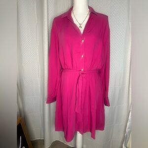 Piombo Pink Button-Up Dress